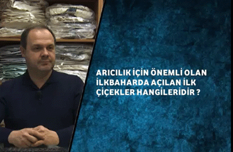 Aricilik İçin Önemli Olan İlkbaharda Açılan İlk Çicekler Hangileridir