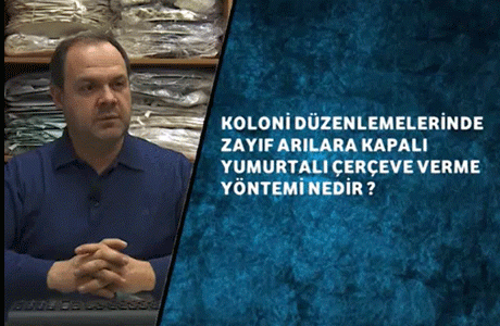 Koloni Düzenlemelerinde Zayıf Arilara Kapali Yumurtali Çerçeve Yöntemi Nedir ?